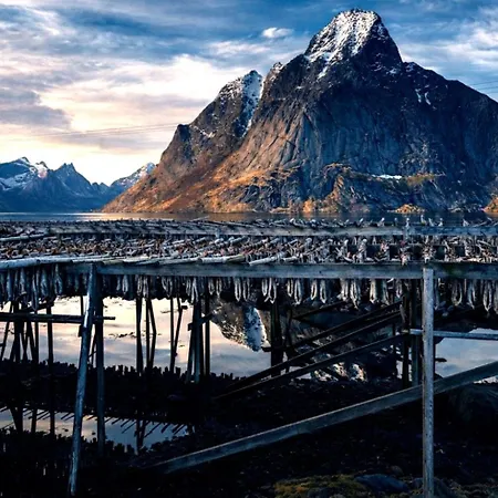 Oceanview Escape Lofoten *