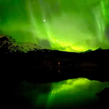 Oceanview Escape Lofoten
